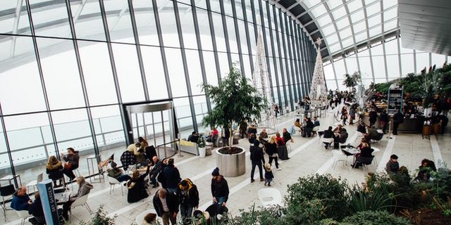 pexels-riciardus-301930